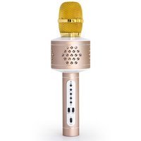 Technaxx Karaoke Mikrofon PRO BT-X35  gold/silver